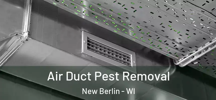  Air Duct Pest Removal New Berlin - WI
