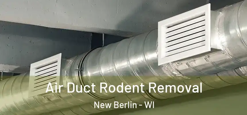  Air Duct Rodent Removal New Berlin - WI