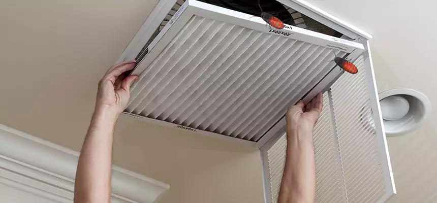 Preventive Cockroach-Proofing for Ducts in New Berlin