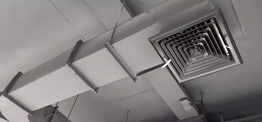 Restorative Allergy Relief Vent Cleaning – Coil, Blower & Housing Detail in New Berlin