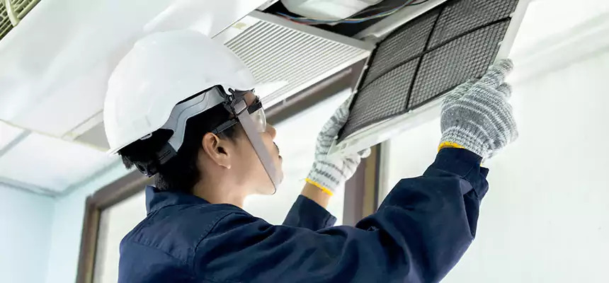 Our Mold & Mildew Removal from Air Ducts Services in New Berlin, WI