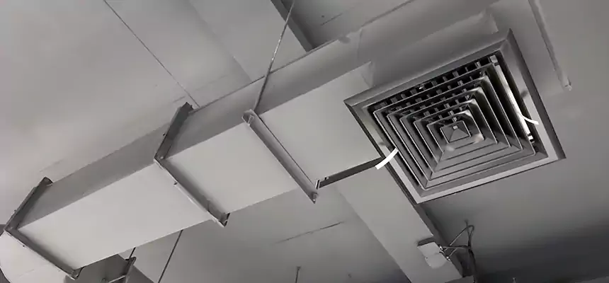 Our Pest Removal From Ducts Services in New Berlin, WI