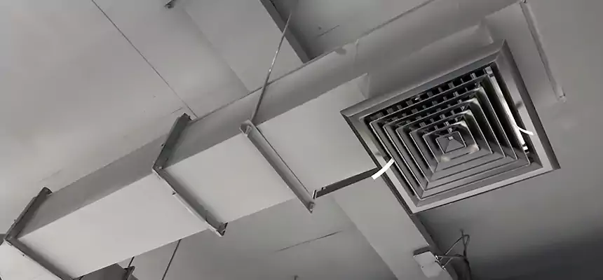 Our Rodent Droppings In Vents Services in New Berlin, WI