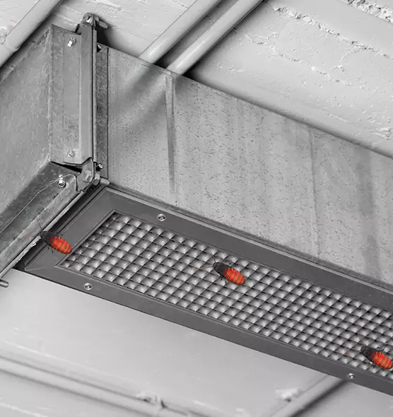About Air Duct Cockroach Removal in New Berlin, WI
