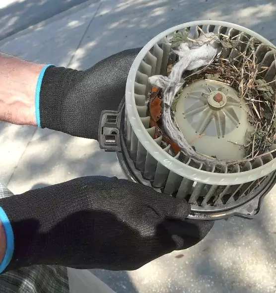 About Air Duct Rat Removal in New Berlin, WI