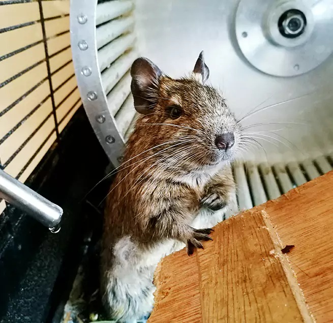 Why Homeowners & Businesses Trust Us New Berlin, WI?